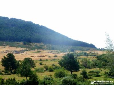 Canencia-Mojonavalle-Sestil de Maillo;viajes alternativos baratos viaje puente de mayo rutas senderi